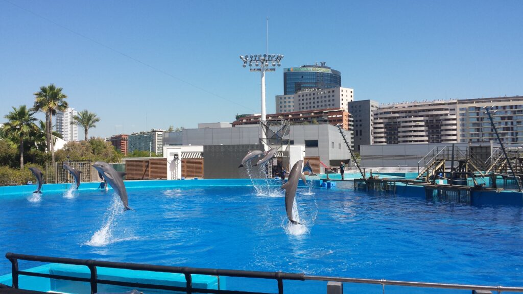 L'acquario di Valencia